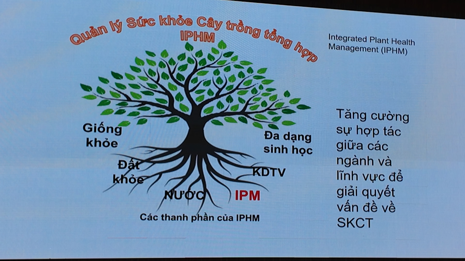 anh174.jpg